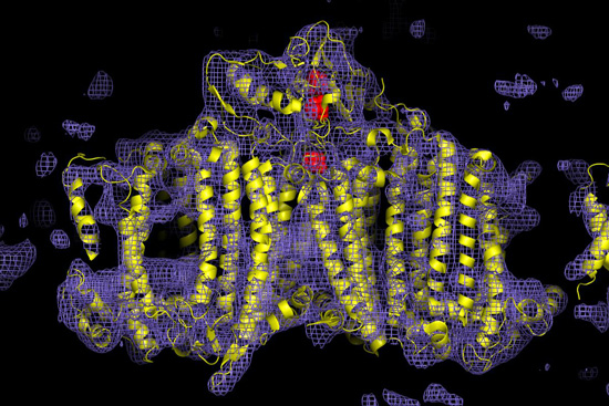 Electron density map of photosystem I protein